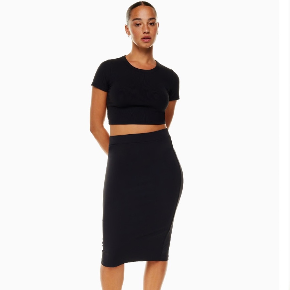 Aritzia Babaton contour pencil skirt